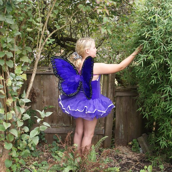 Curtain Call Costumes Other - New FAIRY COSTUME Purple Leotard w/Tutu & Wings XL